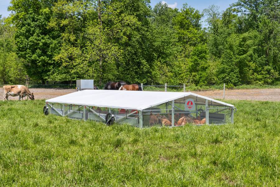Mobile chicken tractor in a pasture